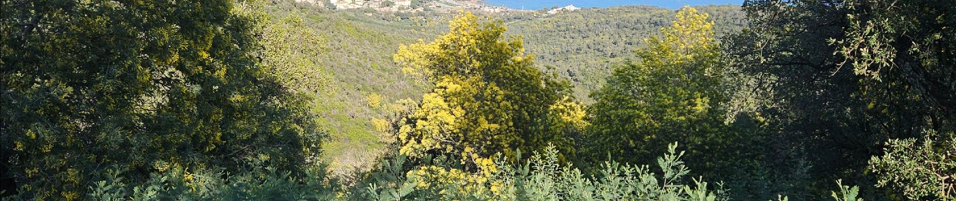 Trail Walking Roquebrune-sur-Argens - 14/02/24 M et C  Gaillarde - Photo