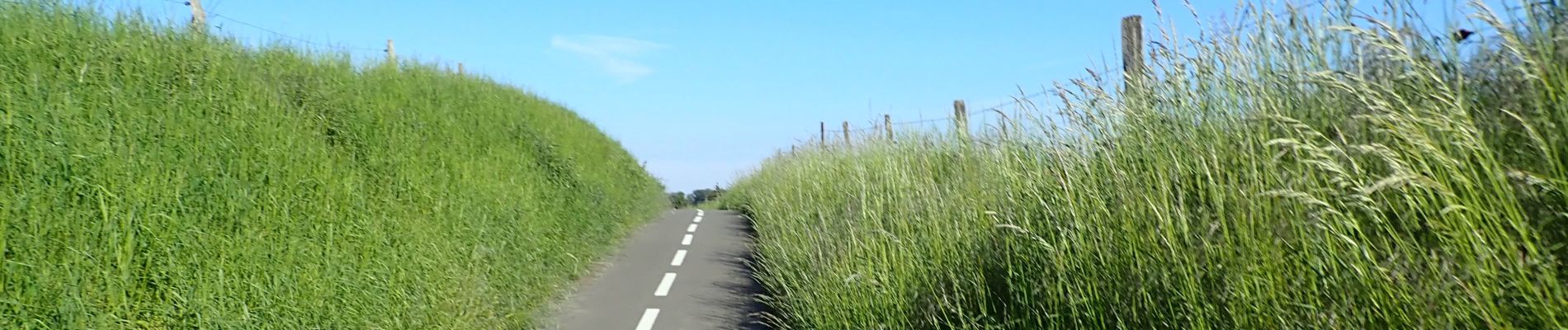 POI Chaumont-Gistoux - Vue piste cyclable avec ligne de séparation centrale - Photo