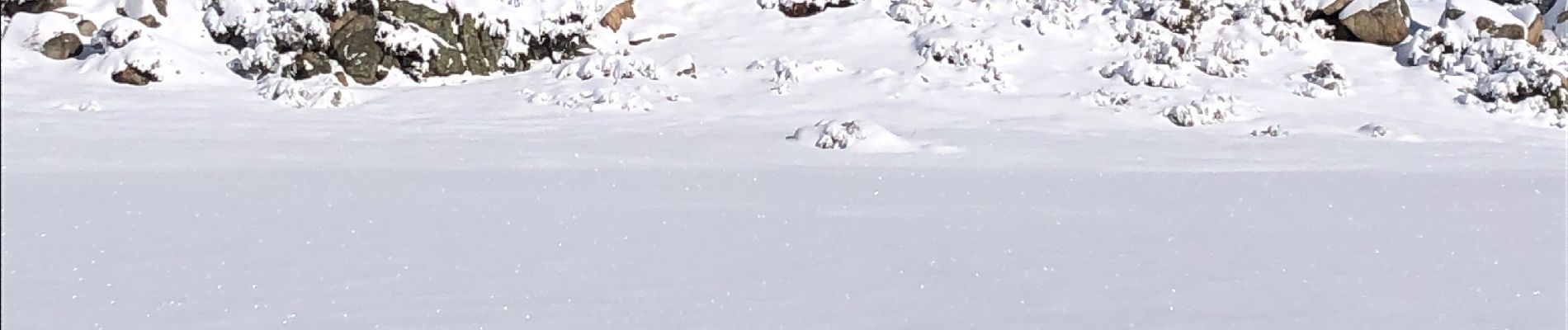 Excursión Raquetas de nieve La Llagonne - 20230224 pla avellans raquettes  - Photo