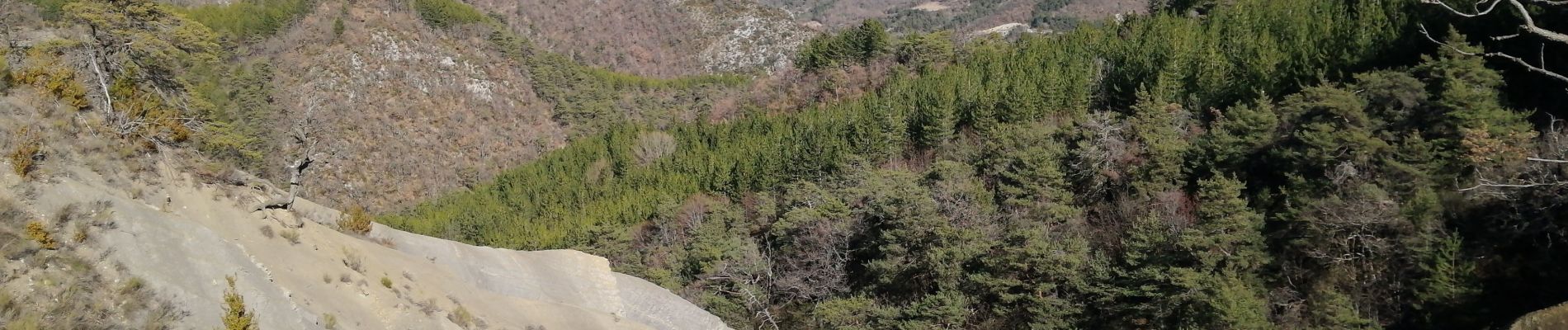 Randonnée Marche Bénivay-Ollon - mont autuche  - Photo