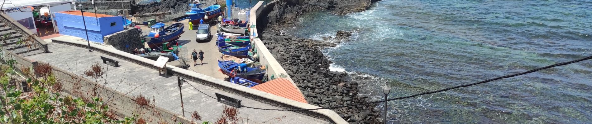 Excursión Senderismo San Cristóbal de La Laguna - punta de Hidalgo le port - Photo