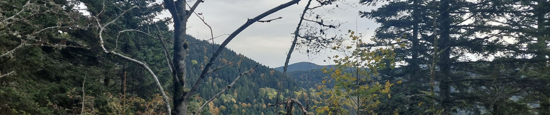 Randonnée Marche Fraize - Hancochet - Photo