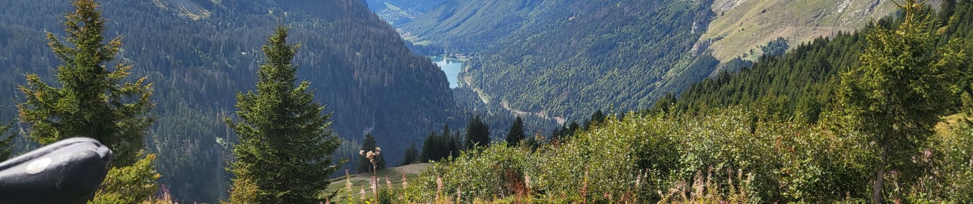 Excursión Bici de montaña Montriond - lindaret lac de la plagne - Photo