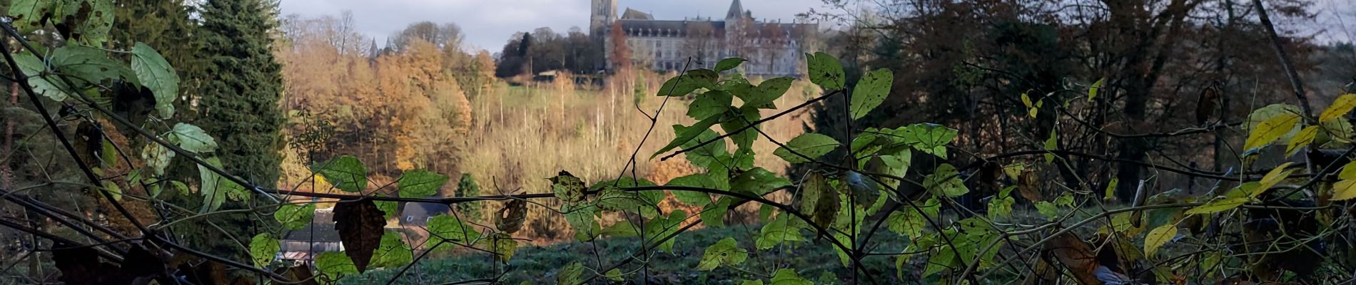 Trail Walking Anhée - MAREDSOUS _ Marche Fédérale _ NA _ 27/11/2021 - Photo