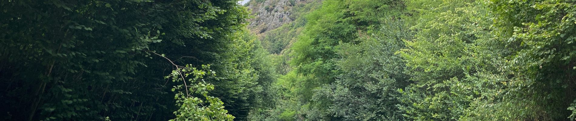 Randonnée Vélo de route Montillières-sur-Orne - Voie verte suisse normande - Photo