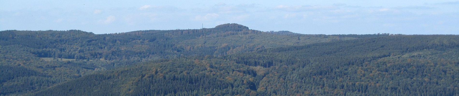 Percorso A piedi Bad Sooden-Allendorf - Sälzerweg 1 - Photo