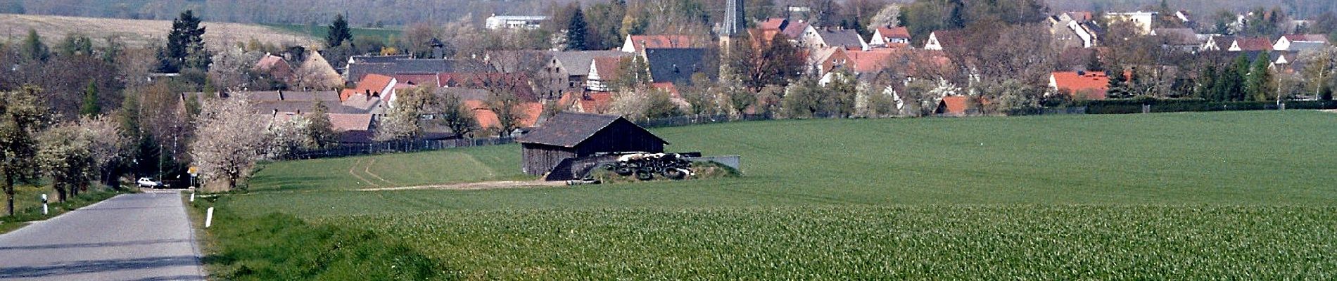 Randonnée A pied Droyßig - Rundweg Mannsdorf - Photo