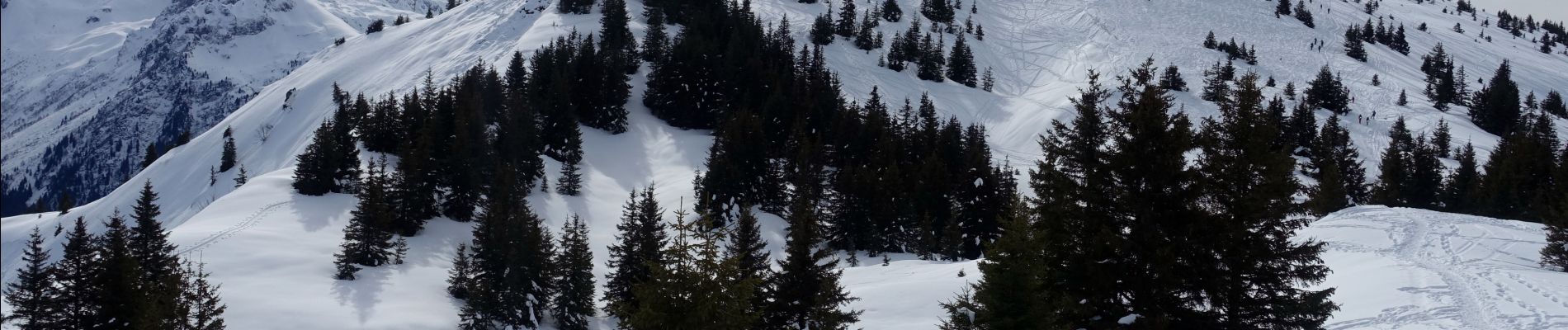 Tocht Sneeuwschoenen Crêts-en-Belledonne - Grand-Rocher-2021-02-16 - Photo