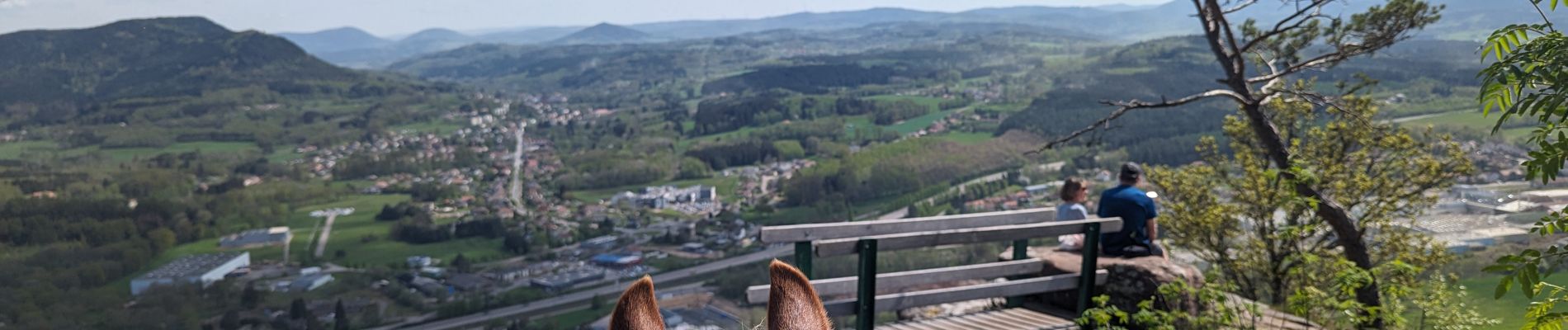 Excursión Paseo ecuestre Étival-Clairefontaine - suuntoapp-HorsebackRiding-2024-04-14T08-00-40Z - Photo