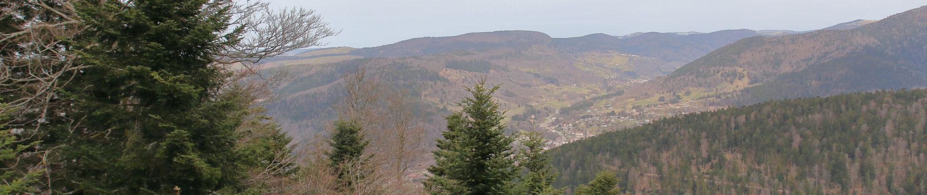 Tour Wandern Plancher-les-Mines - Planche des Belles Filles - Photo