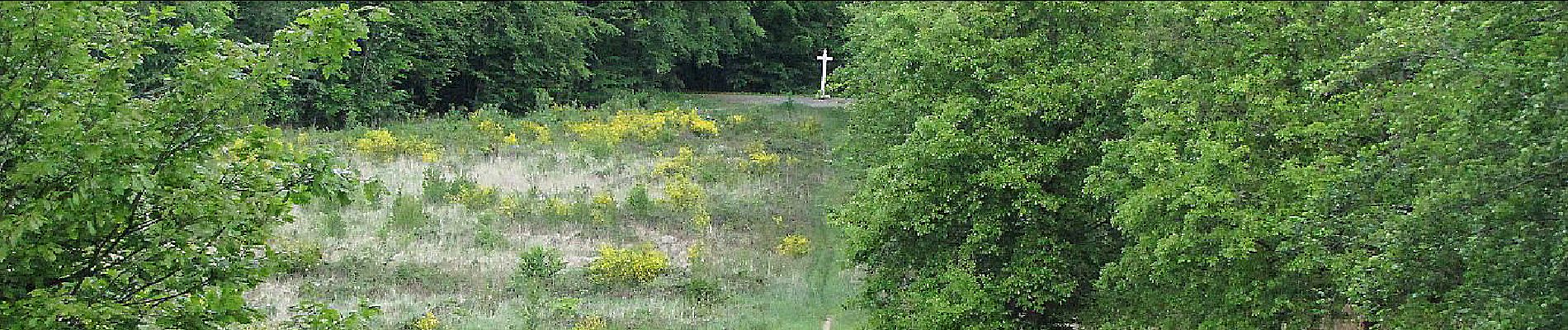 Point d'intérêt Saint-Crépin-aux-Bois - Point 37 - Photo