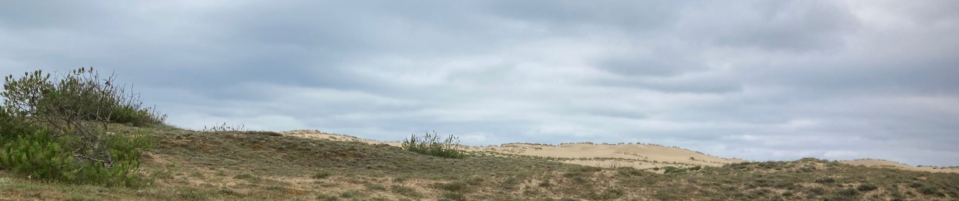 Randonnée Marche La Tremblade - Phare de la Coubre - Photo