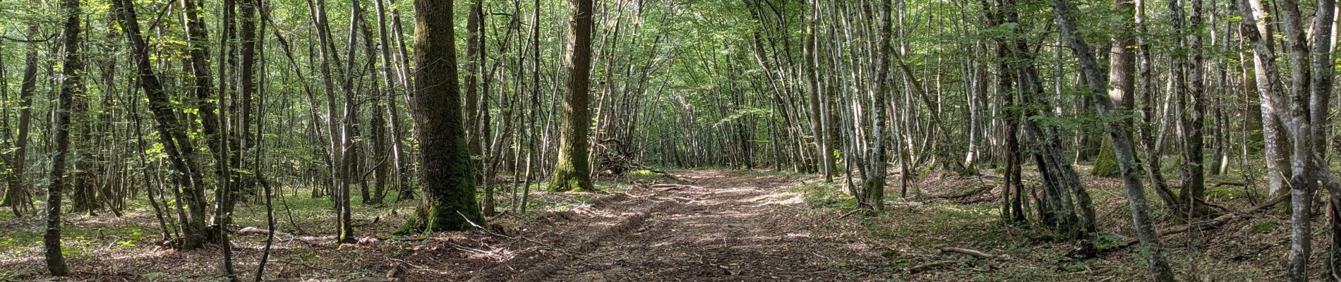 POI Saint-Romain-sous-Versigny - Photo - Photo