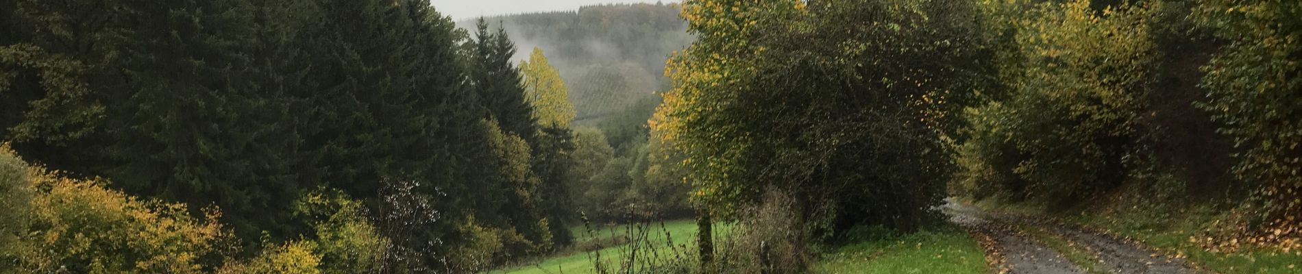 Randonnée Marche Burg-Reuland - Our 17 km - Photo