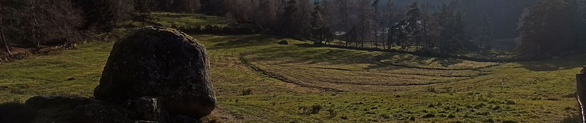 Trail Walking Peyre en Aubrac - 25-12-2022 lac du Moulinet - Photo