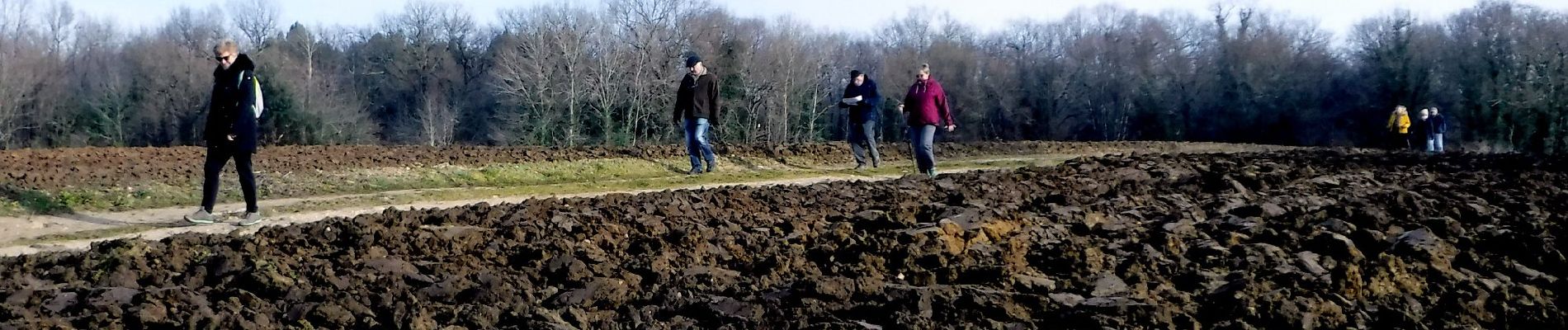 Tocht Stappen Saint-Romain-de-Benet - 17  Vivier 2  -8km300 - Photo