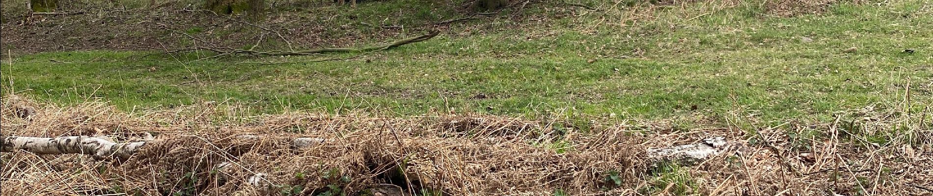 Tocht Mountainbike Chaudfontaine - Marco - Photo