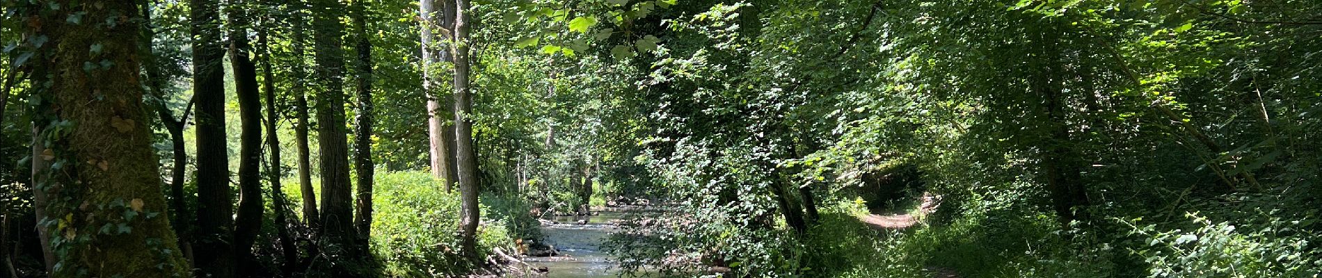 Randonnée Marche Chimay - Vous de Beaumont Natura 2000 - Photo