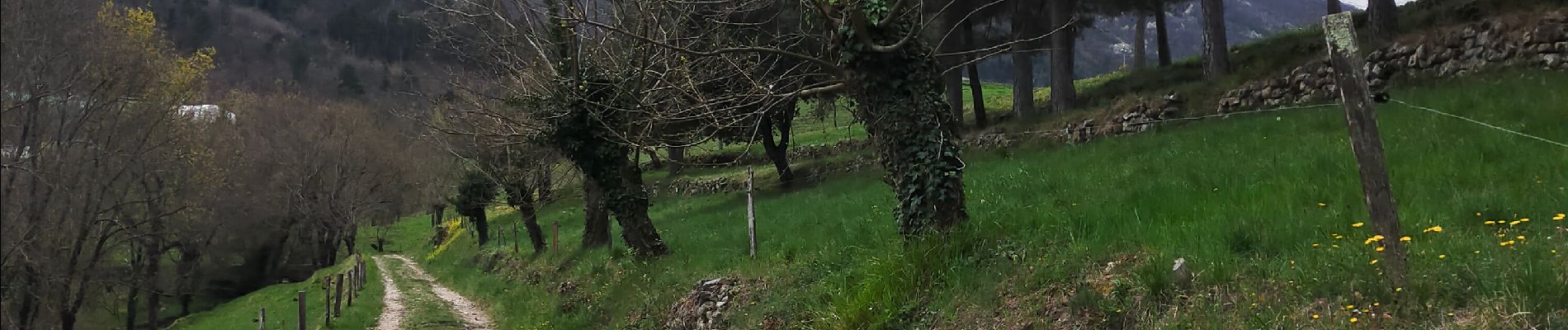 Randonnée Marche Prades - Balade Prades-Le Courtiol-Bois la Peyre-Sausse - Photo