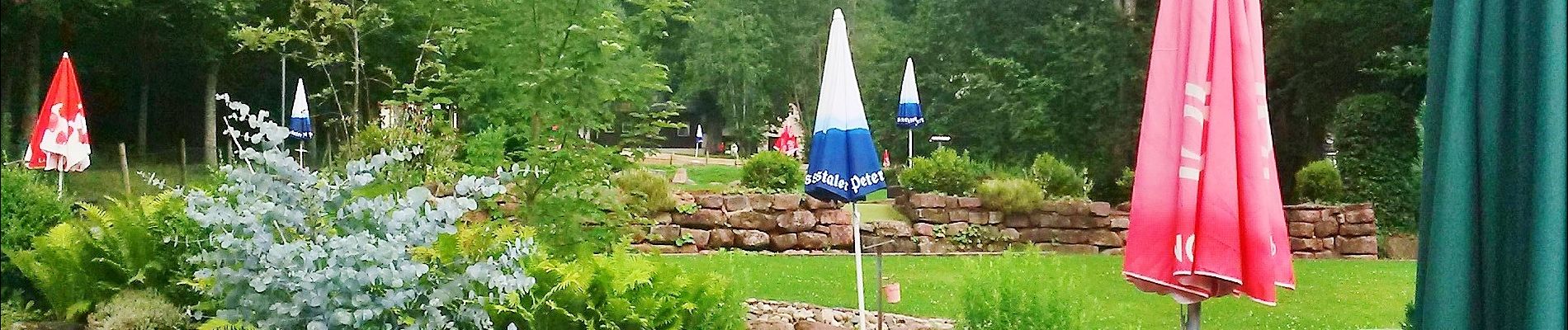 Percorso A piedi Enzklösterle - Enzklösterle-Gompelscheuer Flößerhaus - Photo