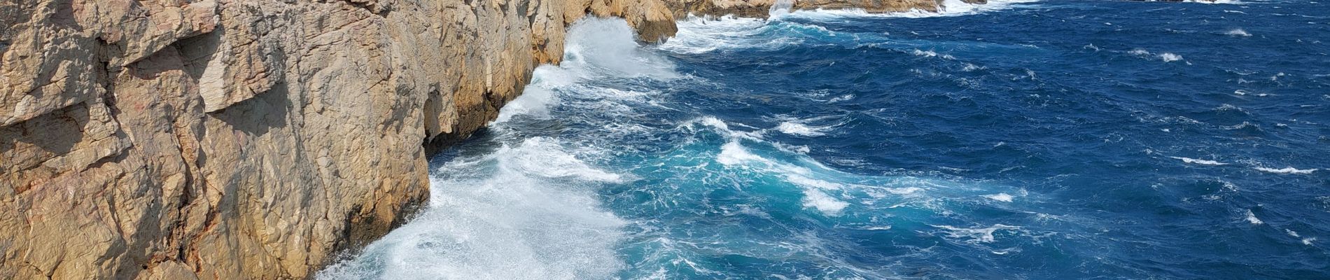 Trail Walking Marseille - callelongue  à les queyrons par la Galinette  - Photo