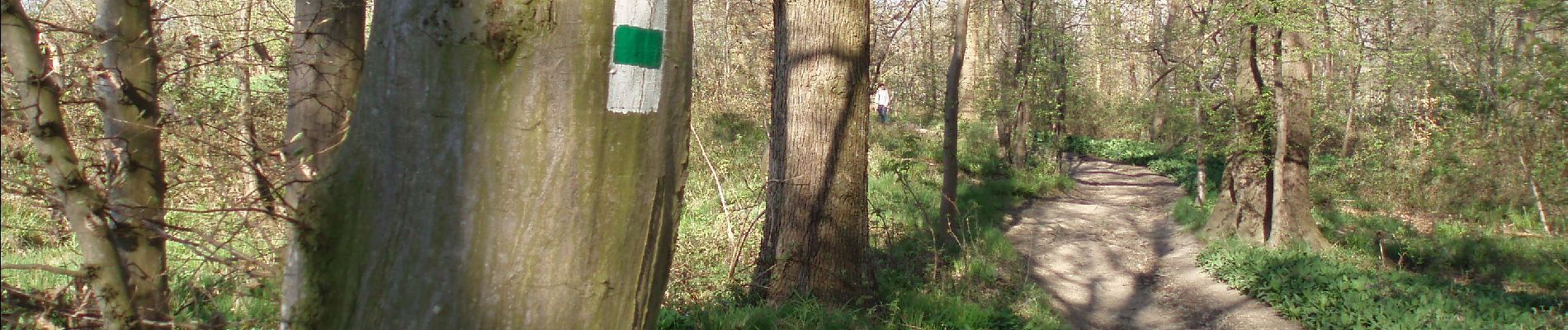 Tour Wandern Blegny - Promenade vers les Houlpais - Photo