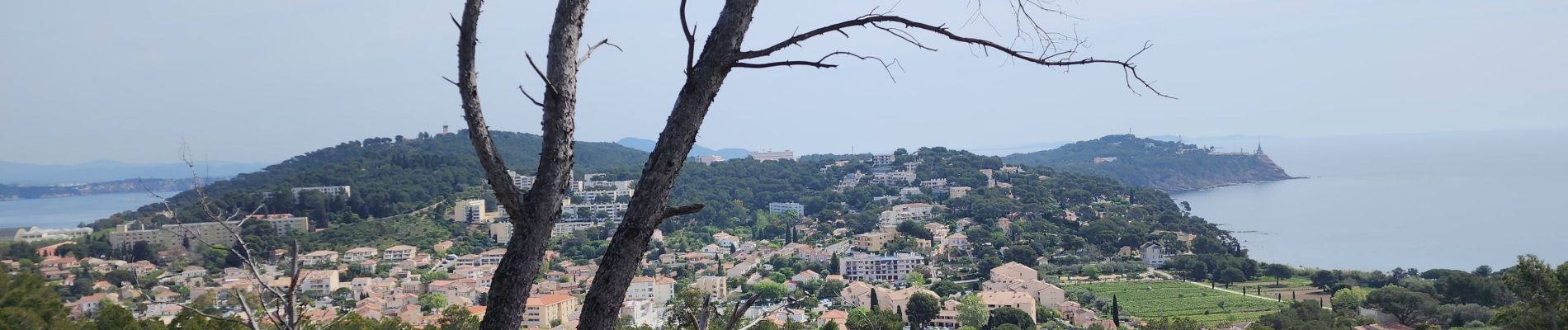 Tour Wandern Saint-Mandrier-sur-Mer - saint mandrier sur mer - Photo