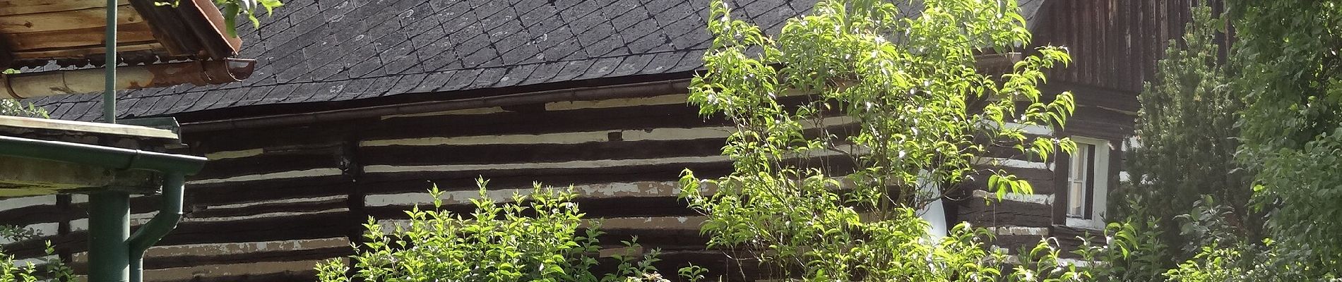 Percorso A piedi Bělá pod Bezdězem - NS Březinské studánky - Photo