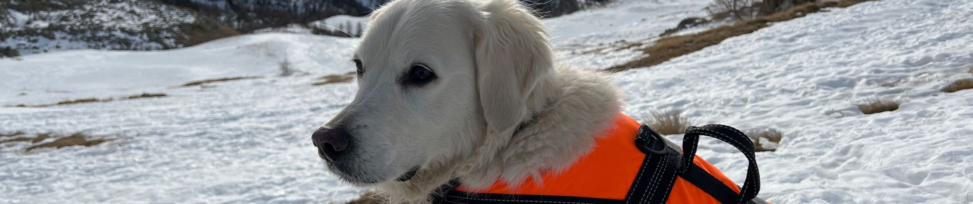 Randonnée Raquettes à neige Isola - Tête Mercière  - Photo