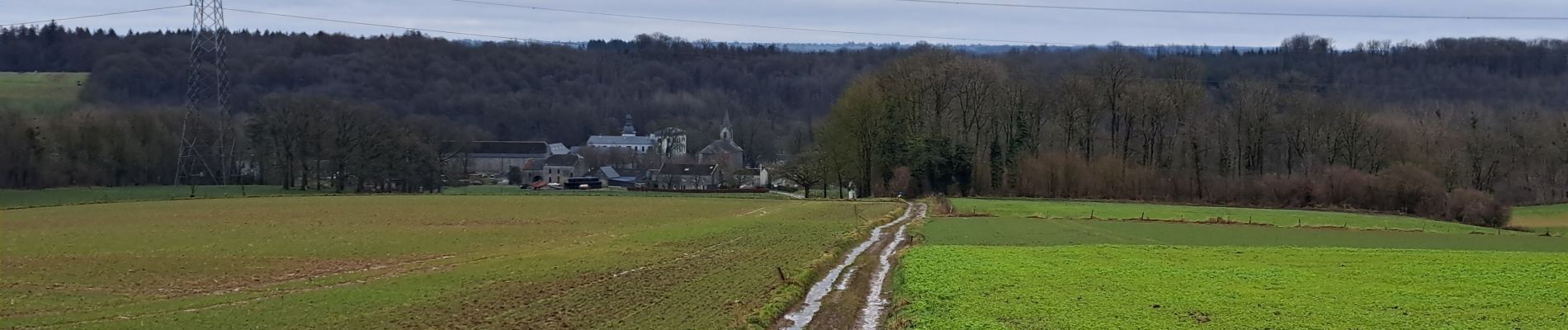 Excursión Senderismo Marchin - Marche ADEPS Vyle-Tharoul 15 Km - Photo