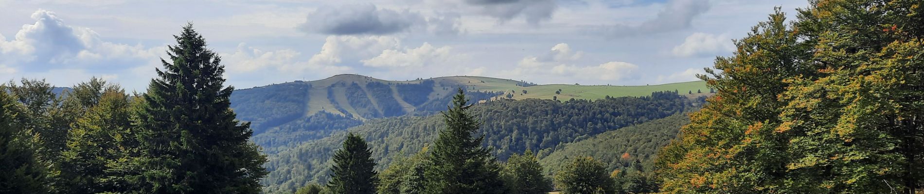 Trail Walking Ranspach - Markstein/Treh,  Breitfist, Oberlauchen, Markstein  - Photo