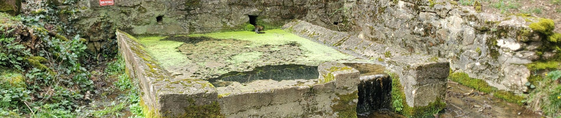 Percorso Marcia Alvignac - Les sources salmiere - Photo