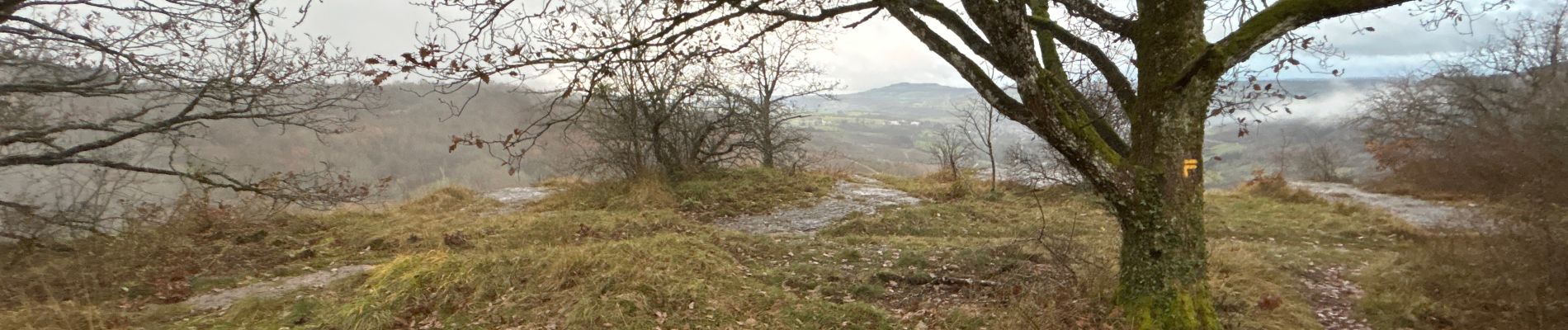 Point of interest Cormot-Vauchignon - Bivouac - Photo