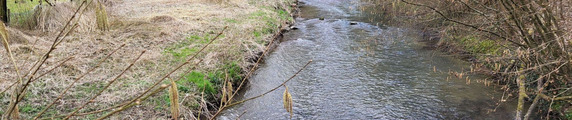 Trail Walking Thuin - Thuin 130325 - Photo