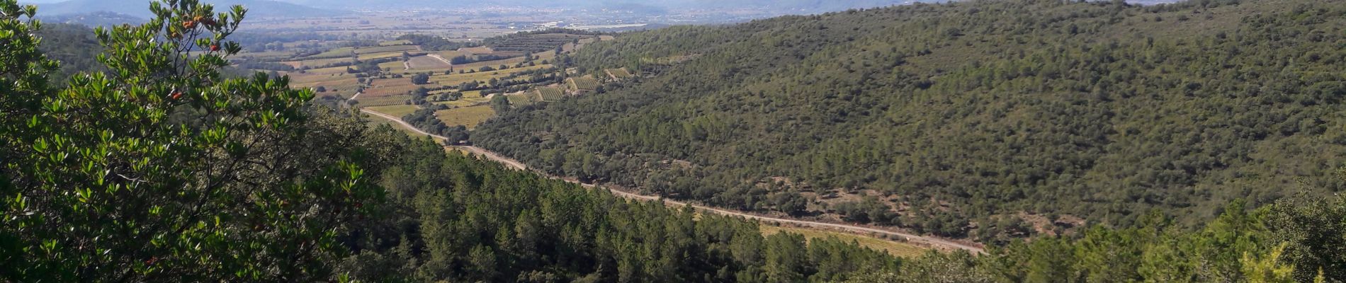 Excursión Senderismo Pierrefeu-du-Var - la portaniere - Photo