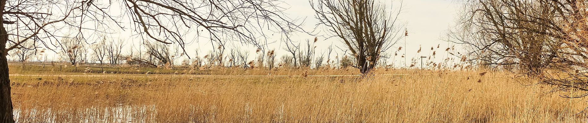 Randonnée A pied Lelystad - Weidepad - Photo