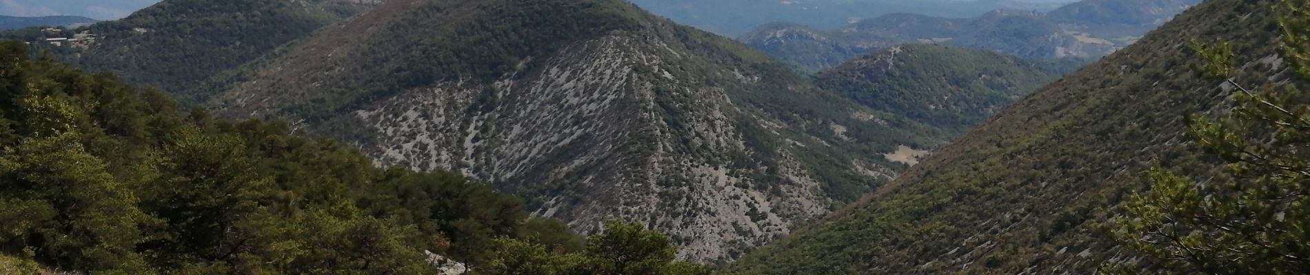 Randonnée Marche Condorcet - Le cougoir par St pons - Photo