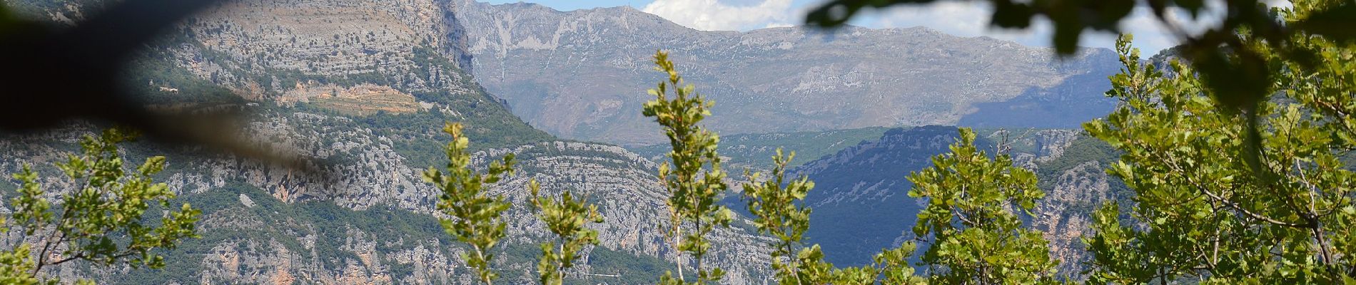 Percorso A piedi Le Rouret - Le Camp romain - Photo