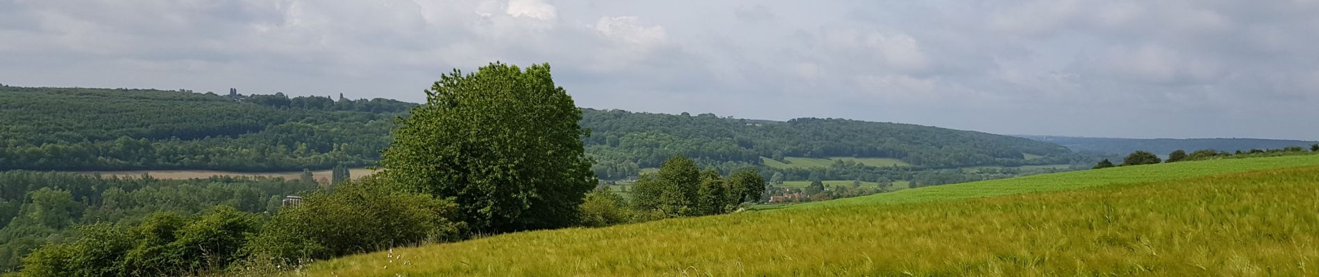 Randonnée Marche Nolléval - Morville sur Andelle  - Photo