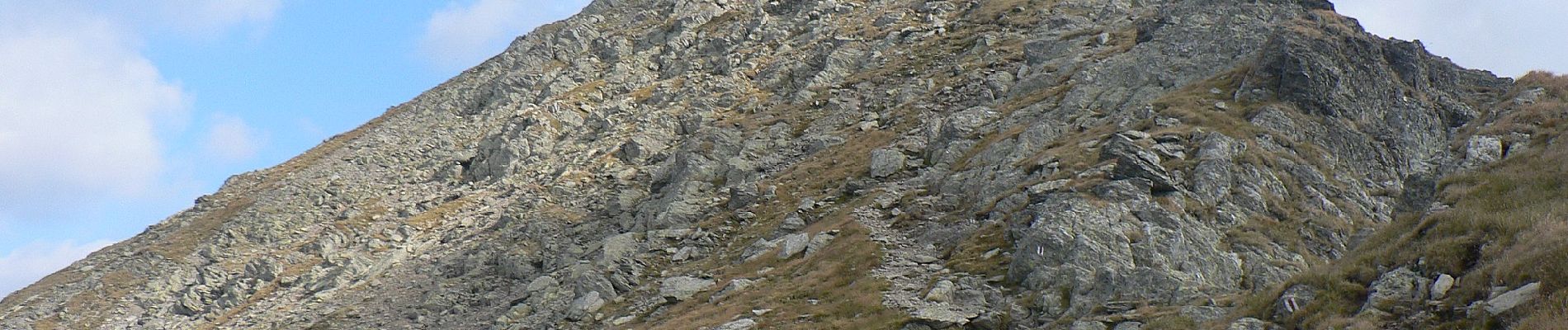 Percorso A piedi Sconosciuto - Porumbacu de Jos - Cabana Negoiu - Șaua Cleopatra - Photo