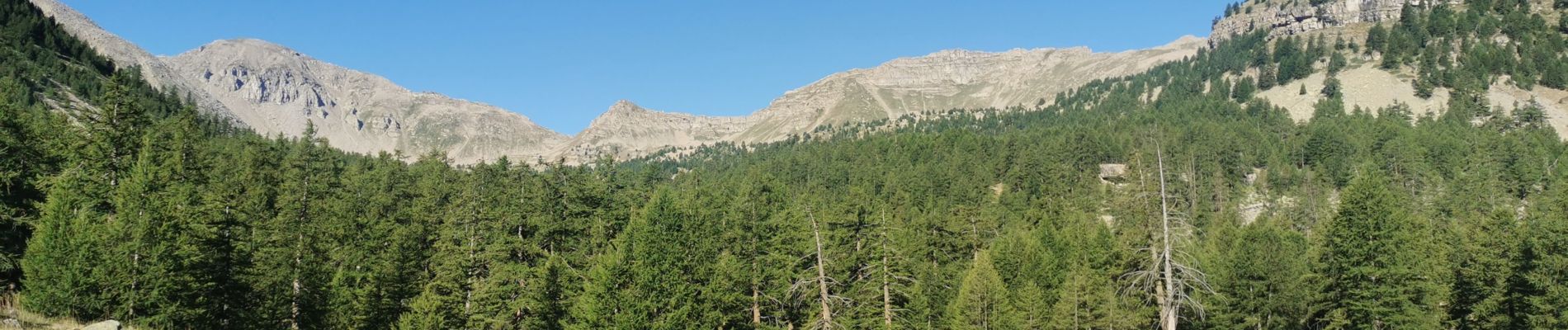 Tocht Stappen Saint-Dalmas-le-Selvage - tête de sanguiniere - Photo