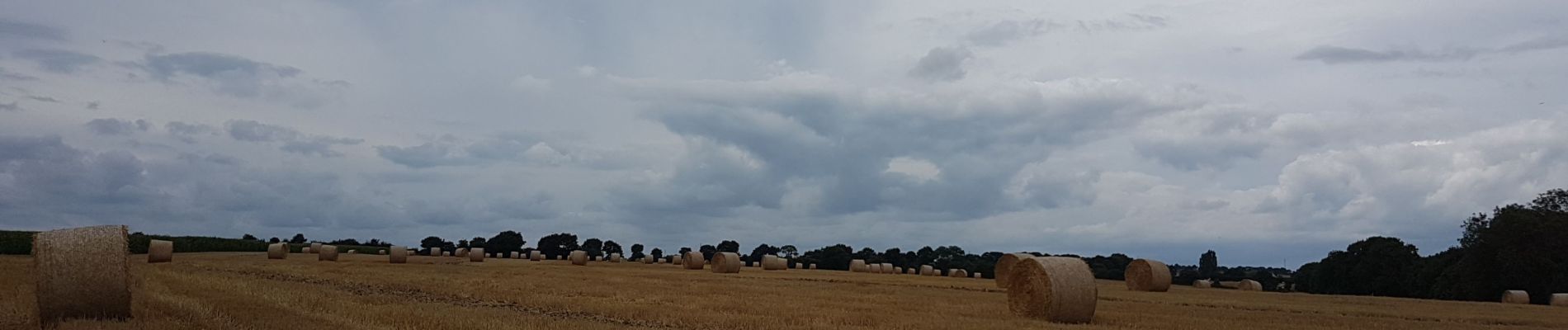 Randonnée Marche Lamballe-Armor - Hillion, Les ponts neufs, Grd tour - Photo