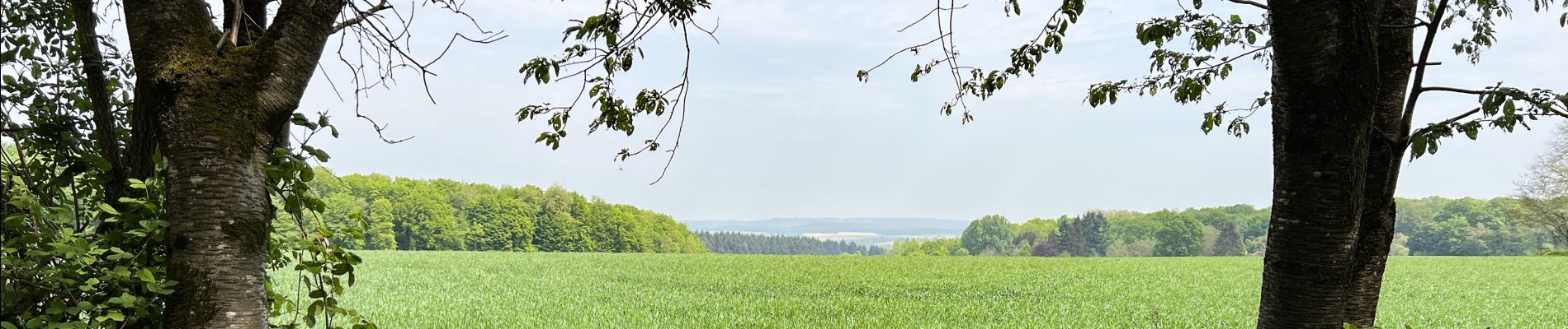 Tocht Stappen Ormoy-le-Davien - 290422 - Boucle Ormoy le Davien - au dessus de Chavre - Photo