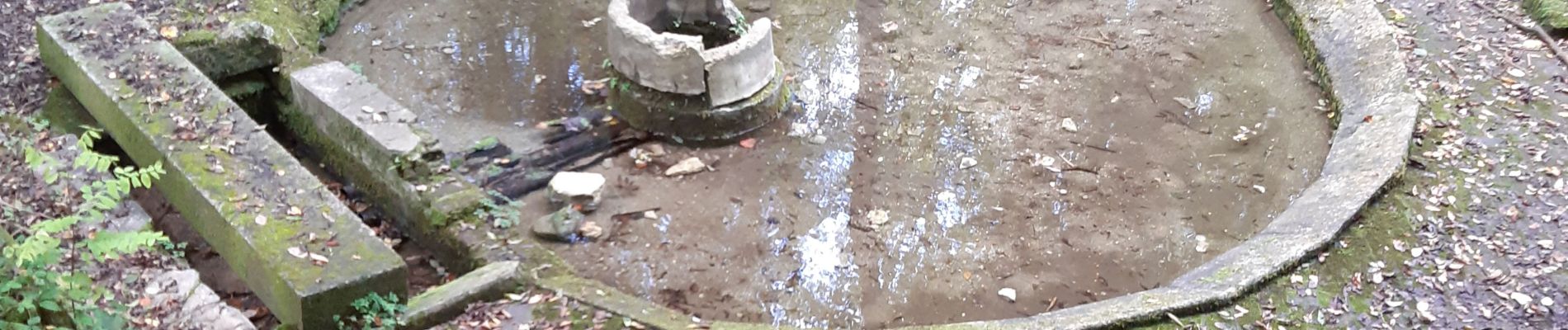 Excursión Senderismo Santeuil - Lavoir de Gouline - Photo