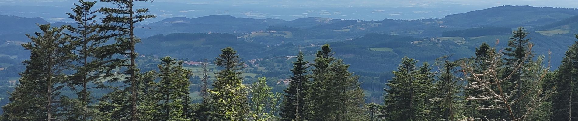 Excursión Senderismo Celles-sur-Durolle - Le Puy de Montoncel_T - Photo