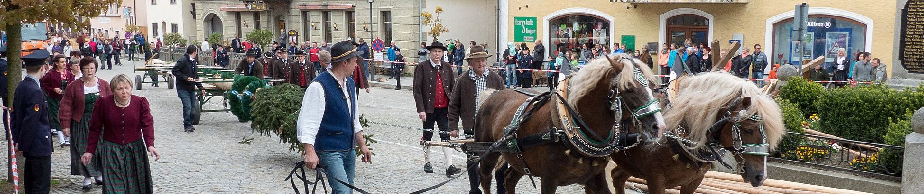 Randonnée A pied Lam - L 3 Lam - Osser (Osser-Riesensteig) - Photo