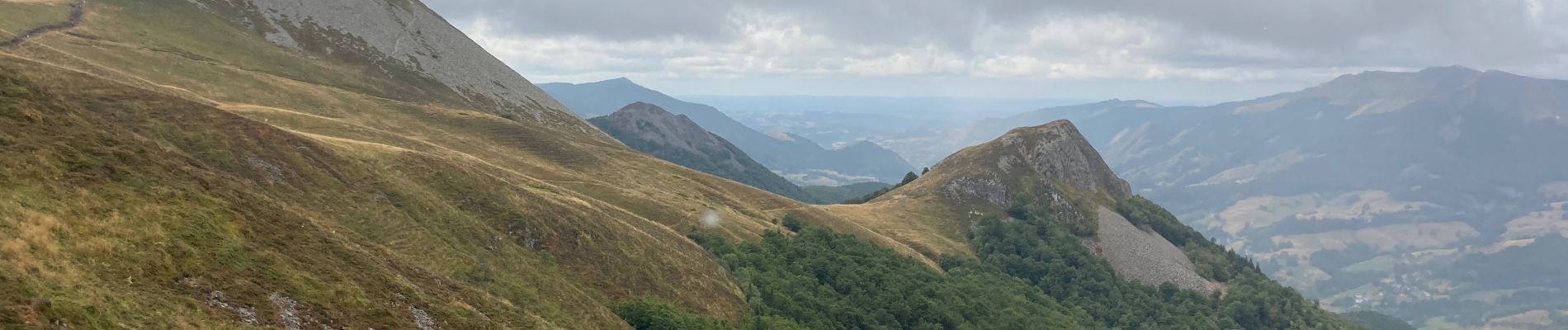 Excursión Senderismo Laveissière - Font de cere puy griou  - Photo