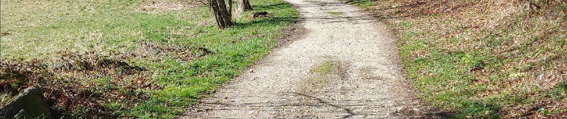 Tocht Stappen Laffrey - Lafrey - Photo