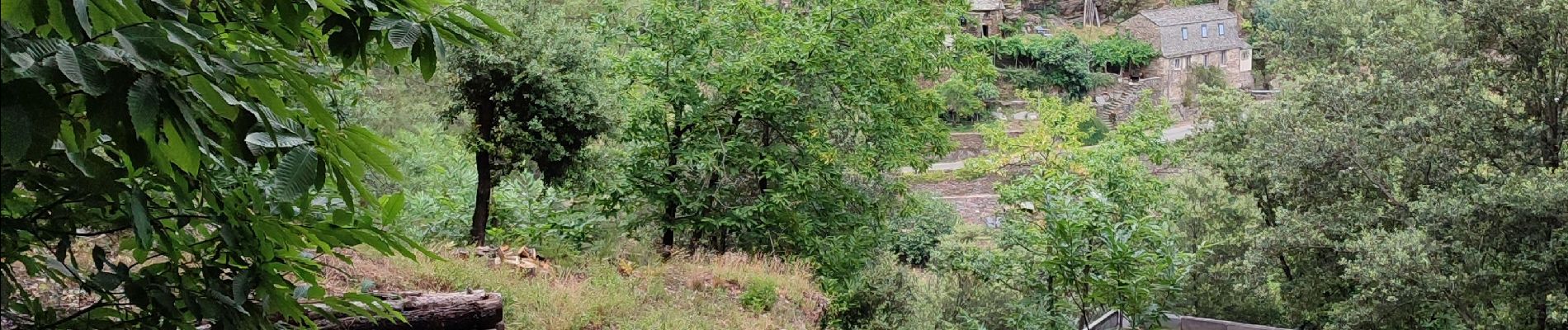 Trail Walking Cans et Cévennes - Calberte  - Photo