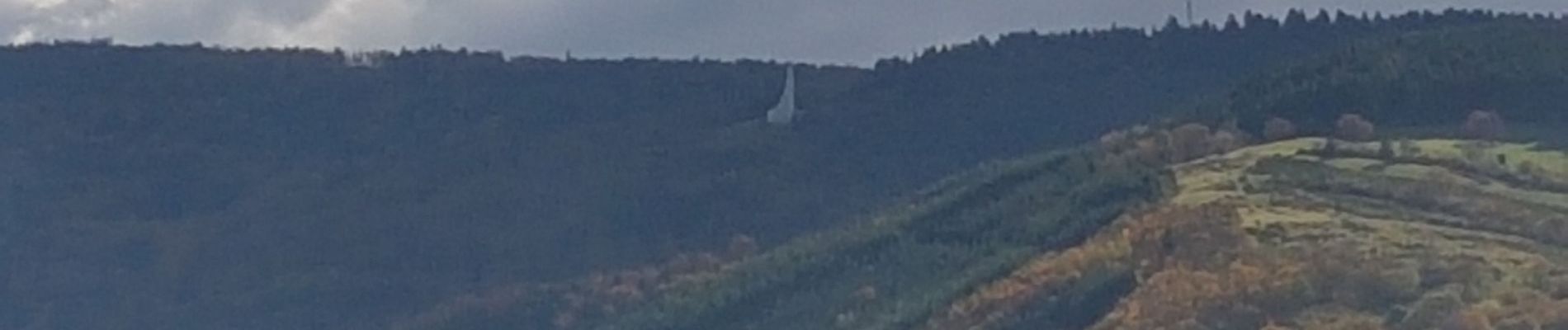 Tour Wandern Schirmeck - Schirmeck - sentier du Colbéry - Photo